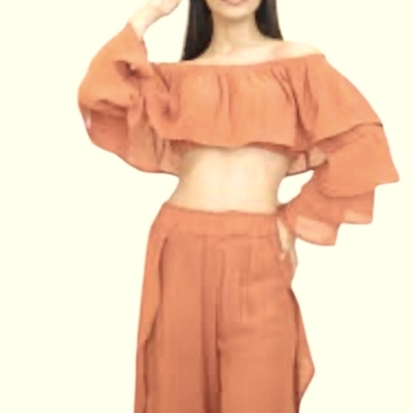 Skylar Rose Tops - Skylar Rose NEW Coquette Cottagecore Wide Sleeve Off-Shoulder Ruffle Crop Top- L